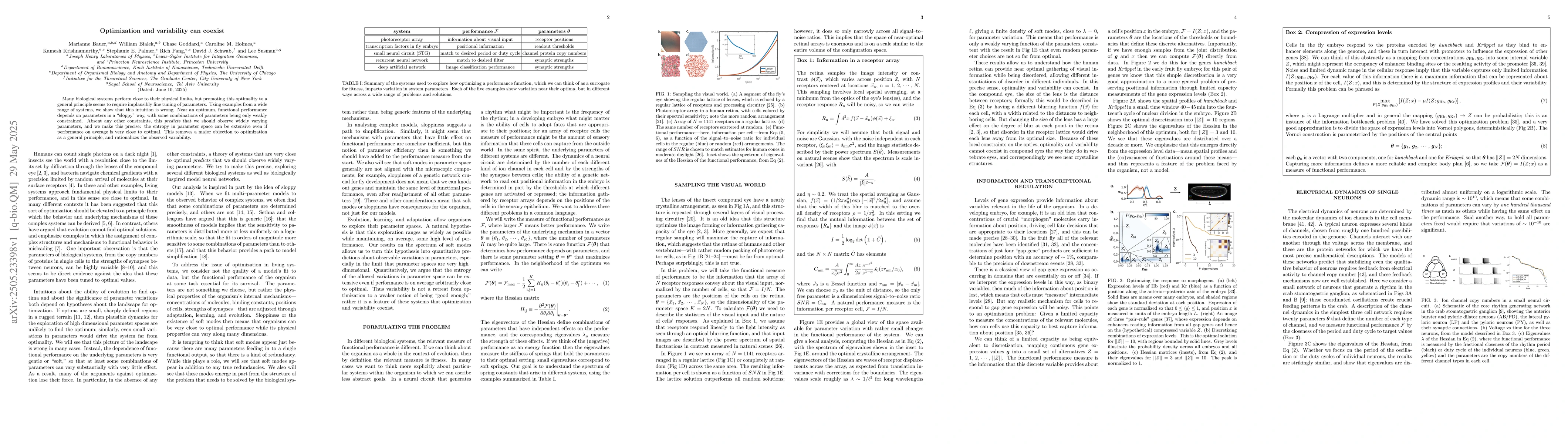 Thumbnail for Optimization and variability can coexist