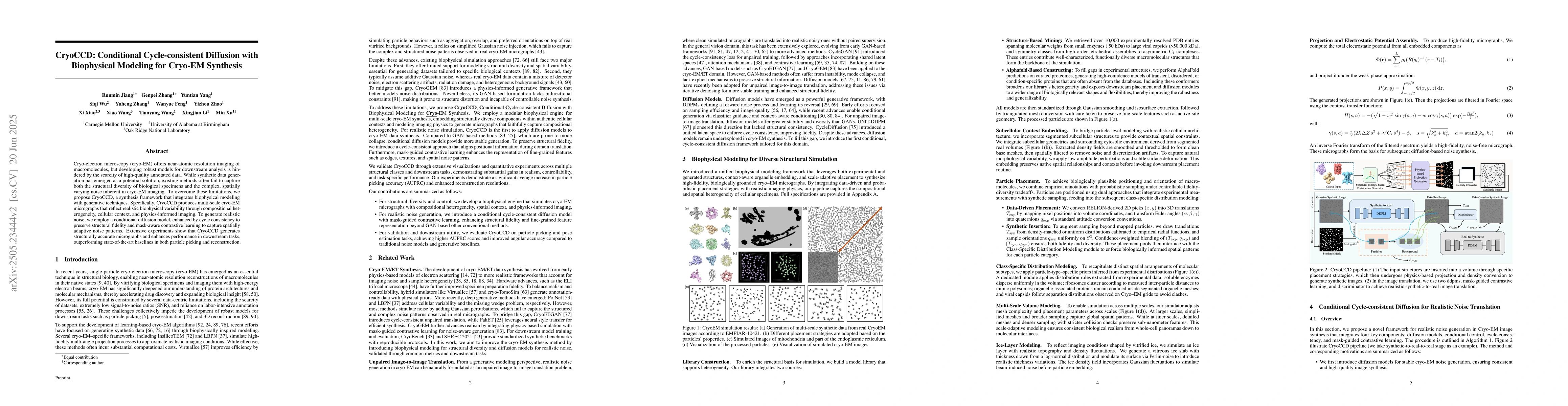 Thumbnail for CryoCCD: Conditional Cycle-consistent Diffusion with Biophysical
  Modeling for Cryo-EM Synthesis