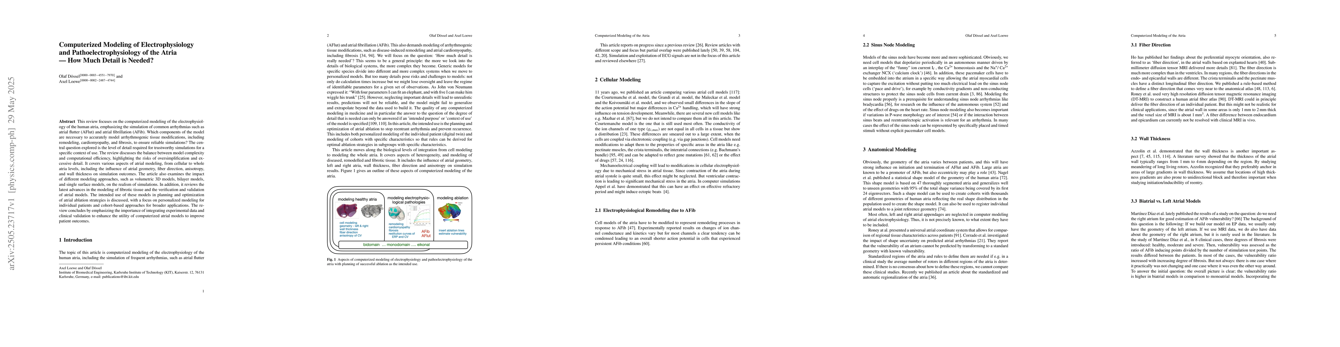 Thumbnail for Computerized Modeling of Electrophysiology and Pathoelectrophysiology of
  the Atria -- How Much Detail is Needed?