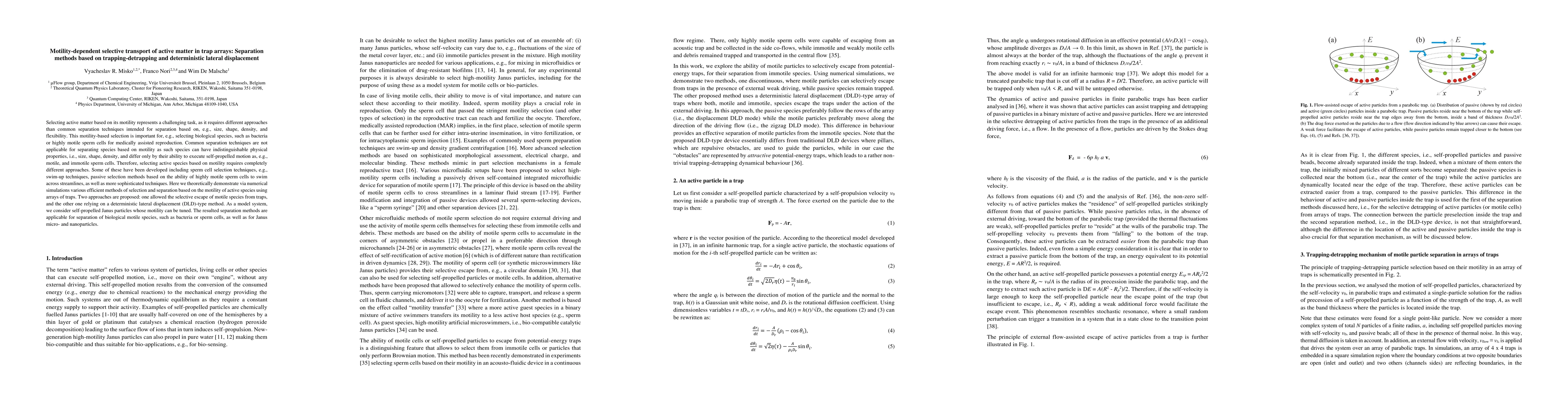 Thumbnail for Motility-dependent selective transport of active matter in trap arrays:
  Separation methods based on trapping-detrapping and deterministic lateral
  displacement