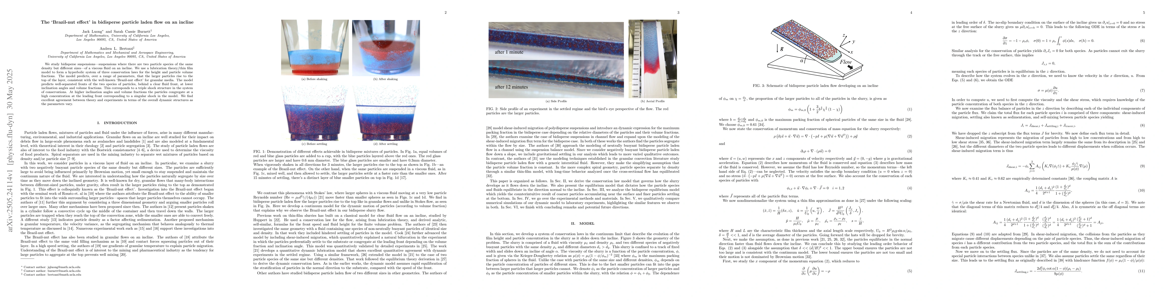 Thumbnail for The 'Brazil-nut effect' in bidisperse particle laden flow on an incline