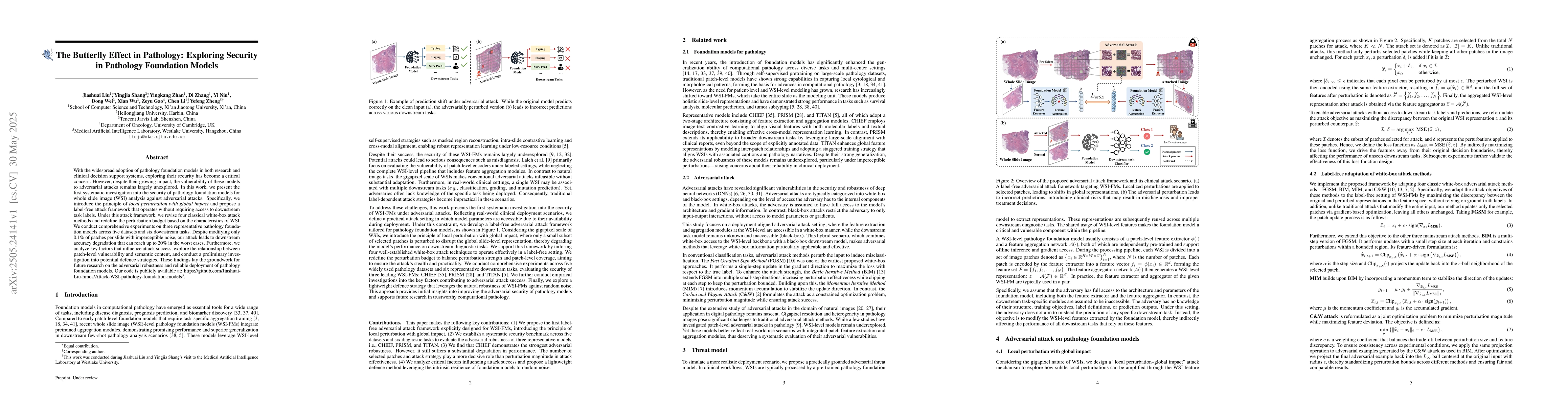 Thumbnail for The Butterfly Effect in Pathology: Exploring Security in Pathology
  Foundation Models