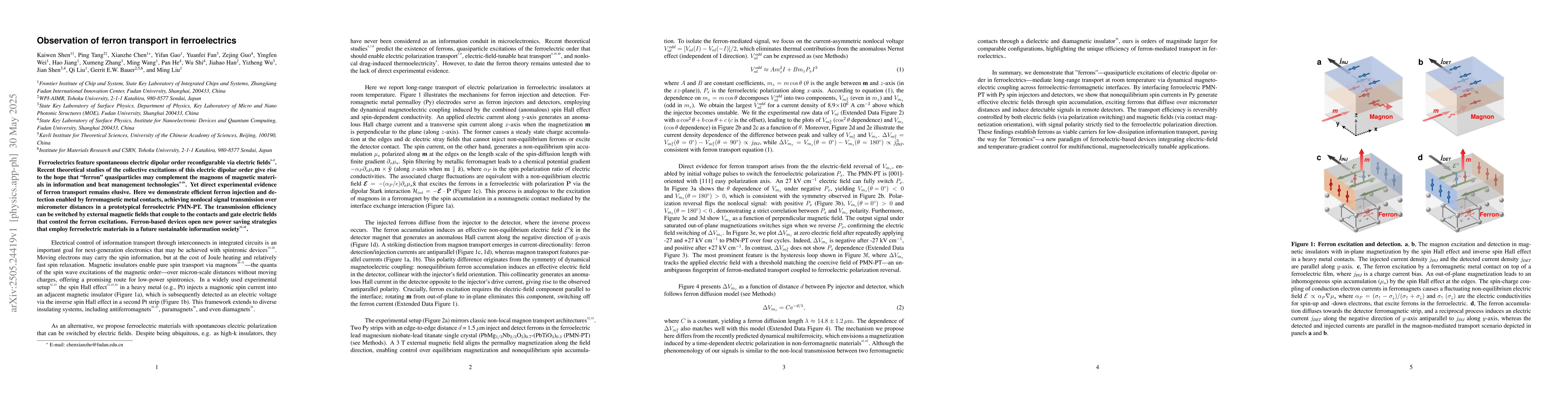 Thumbnail for Observation of ferron transport in ferroelectrics