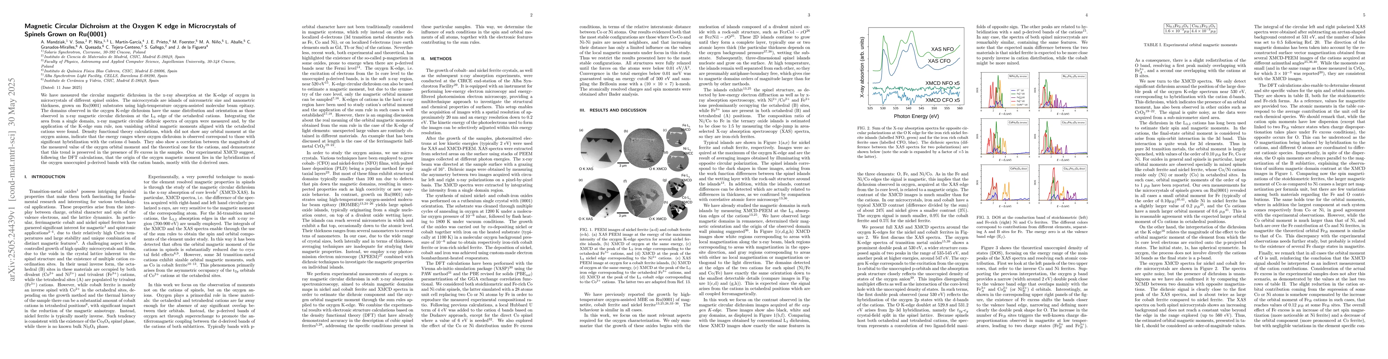 Thumbnail for Magnetic Circular Dichroism at the Oxygen K edge in Microcrystals of
  Spinels Grown on Ru(0001)