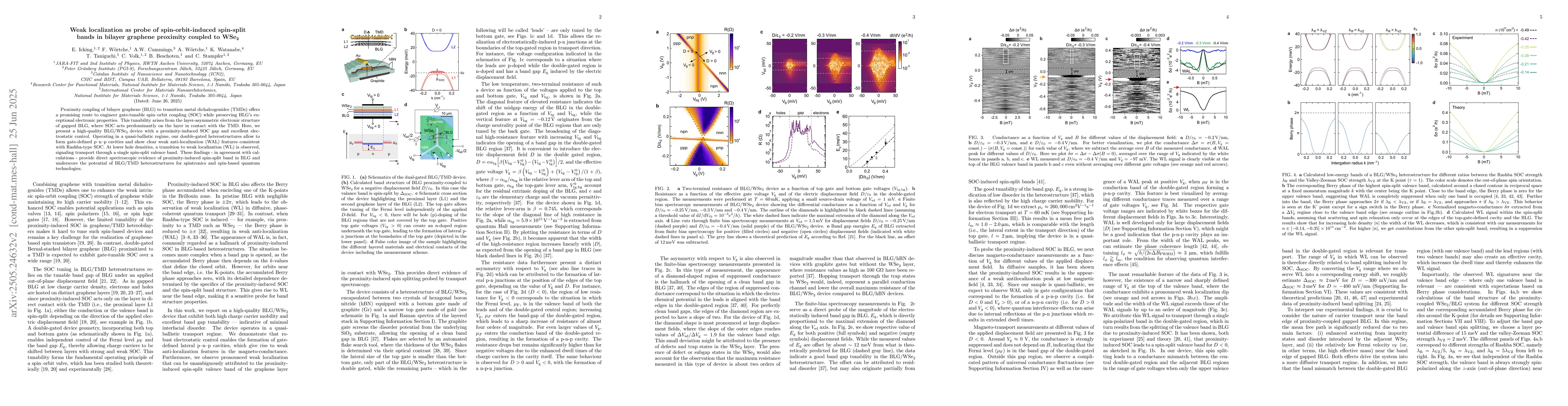 Thumbnail for Weak localization as probe of spin-orbit-induced spin-split bands in
  bilayer graphene proximity coupled to WSe$_2$