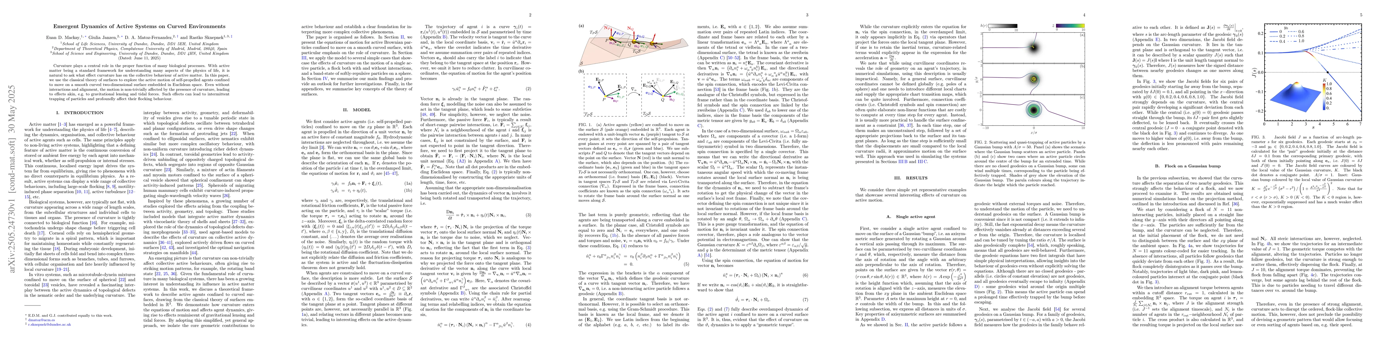 Thumbnail for Emergent Dynamics of Active Systems on Curved Environments