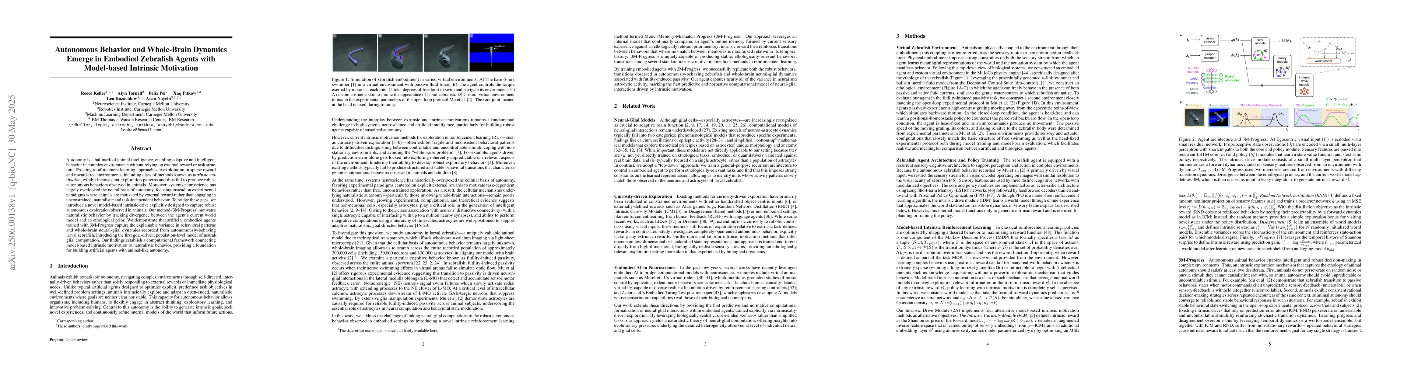 Thumbnail for Autonomous Behavior and Whole-Brain Dynamics Emerge in Embodied
  Zebrafish Agents with Model-based Intrinsic Motivation
