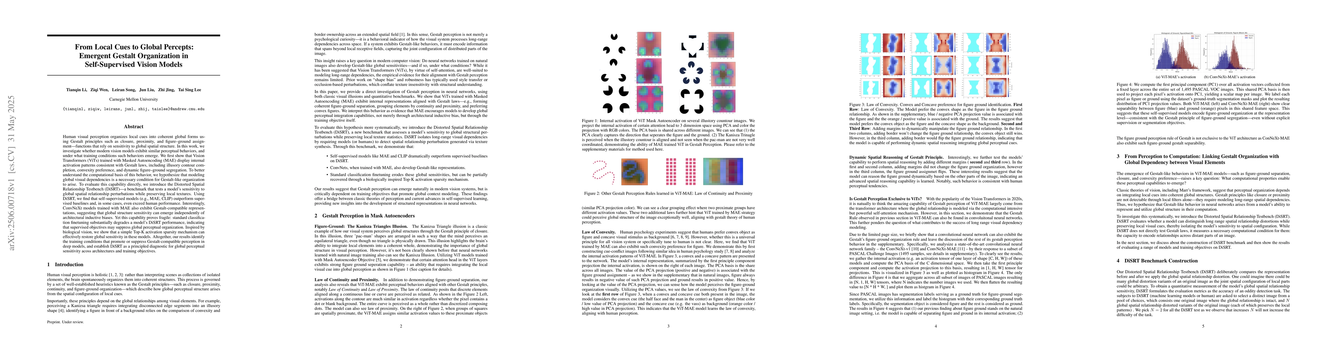 Thumbnail for From Local Cues to Global Percepts: Emergent Gestalt Organization in
  Self-Supervised Vision Models