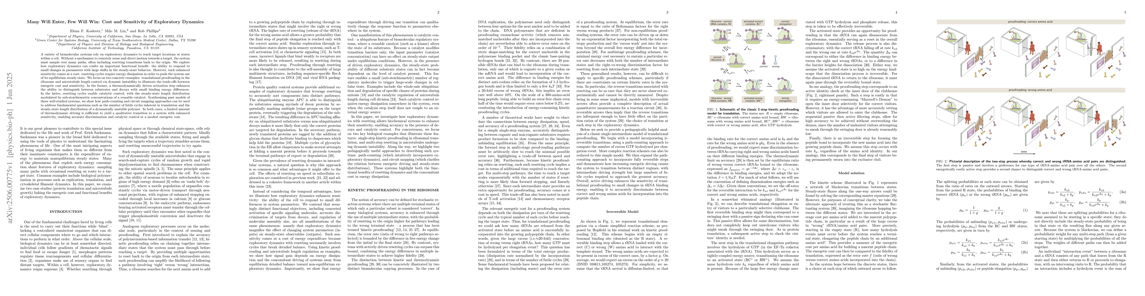 Thumbnail for Many Will Enter, Few Will Win: Cost and Sensitivity of Exploratory
  Dynamics