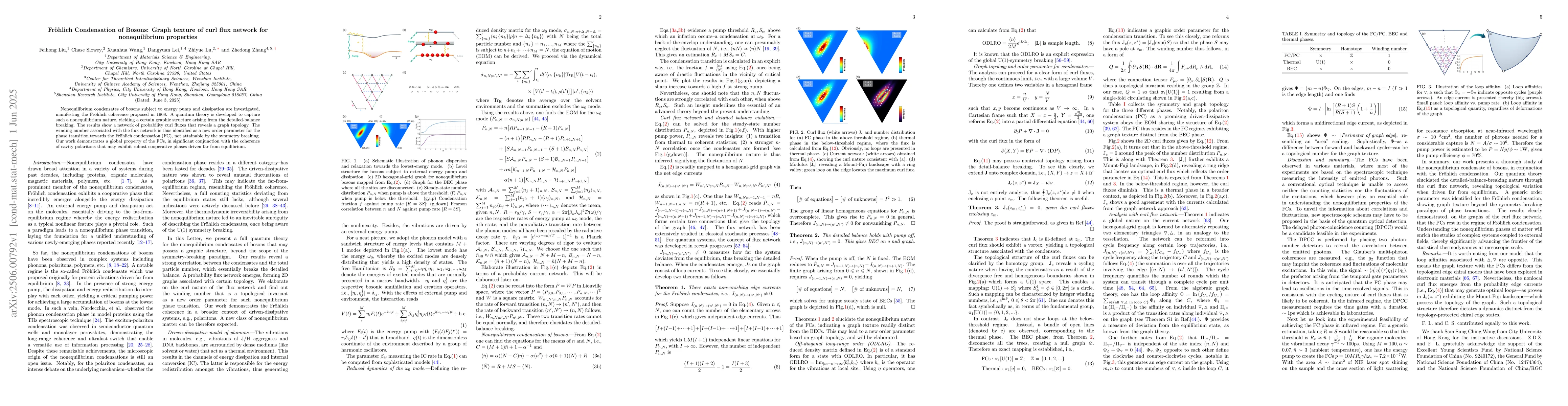 Thumbnail for Fröhlich Condensation of Bosons: Graph texture of curl flux network
  for nonequilibrium properties