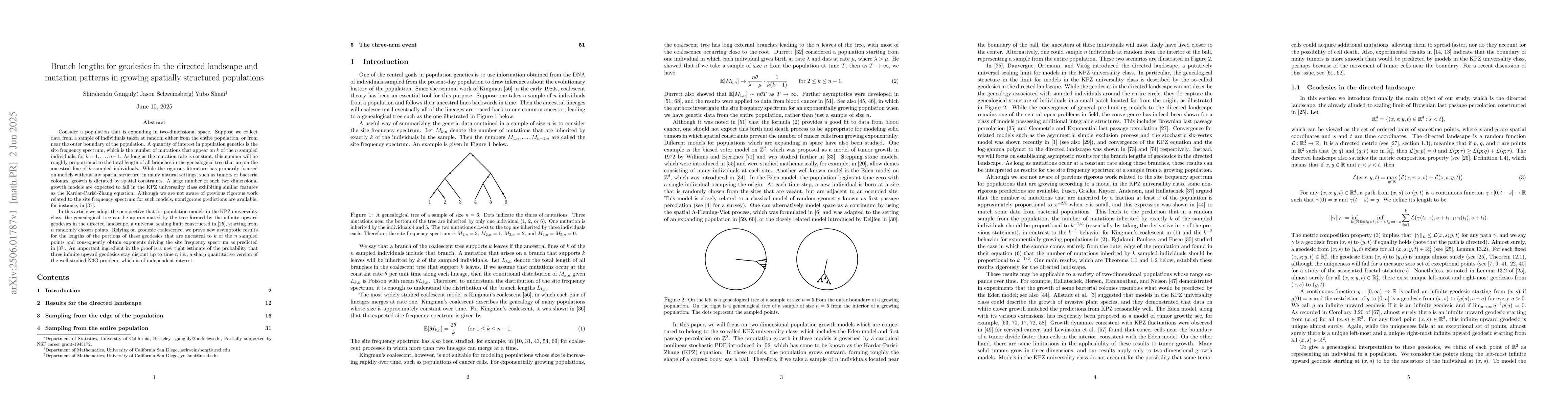 Thumbnail for Branch lengths for geodesics in the directed landscape and mutation
  patterns in growing spatially structured populations