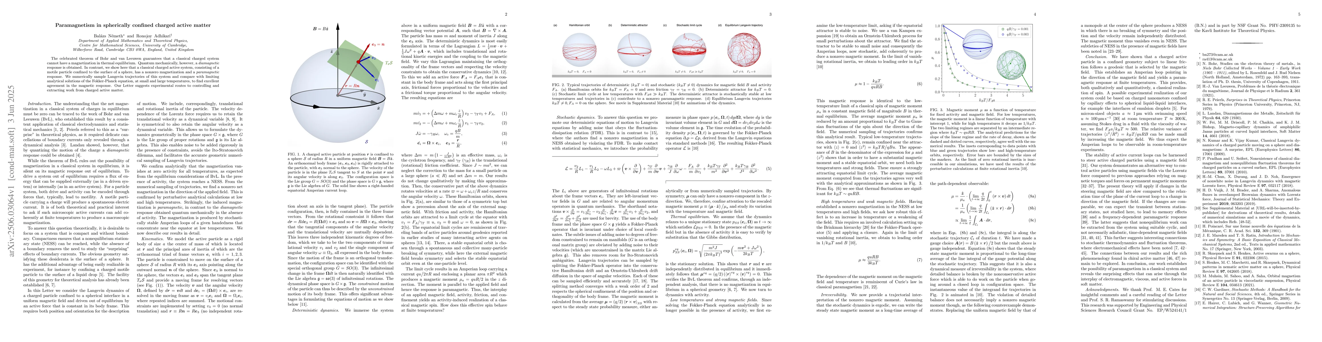 Thumbnail for Paramagnetism in spherically confined charged active matter
