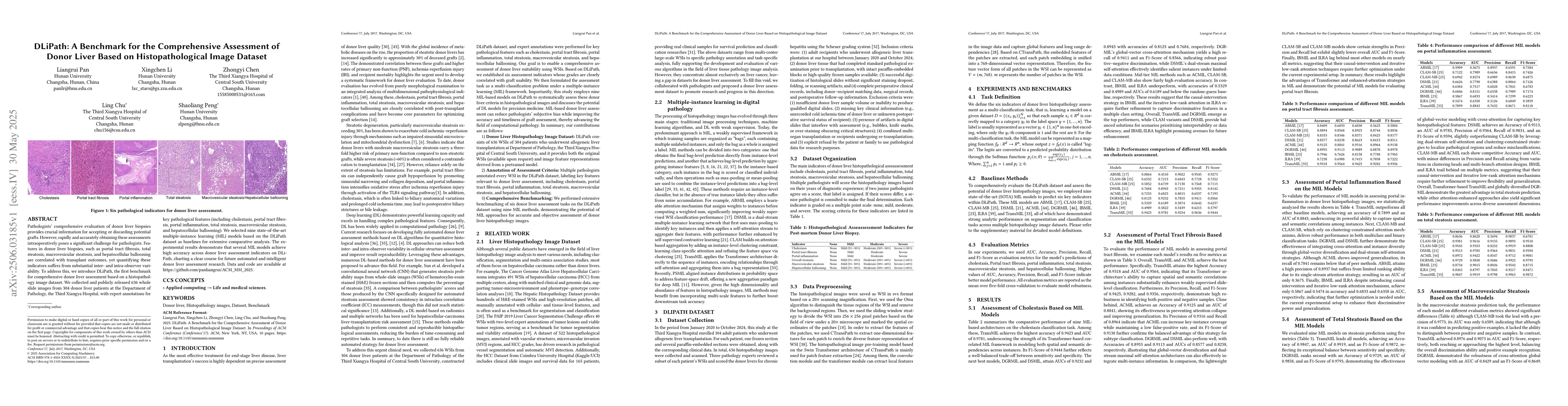 Thumbnail for DLiPath: A Benchmark for the Comprehensive Assessment of Donor Liver
  Based on Histopathological Image Dataset