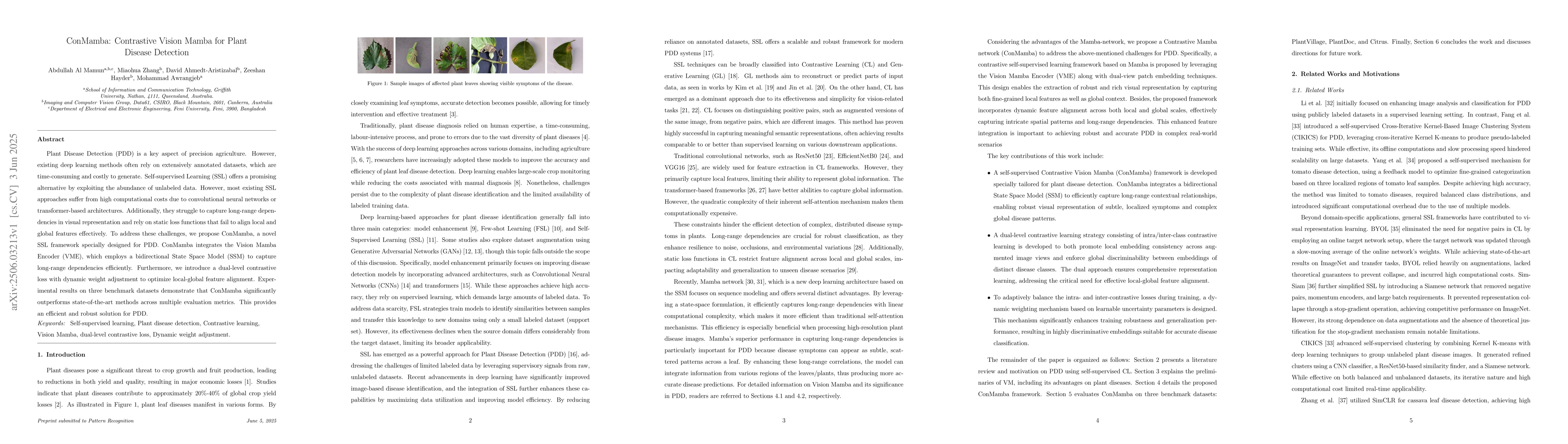 Thumbnail for ConMamba: Contrastive Vision Mamba for Plant Disease Detection