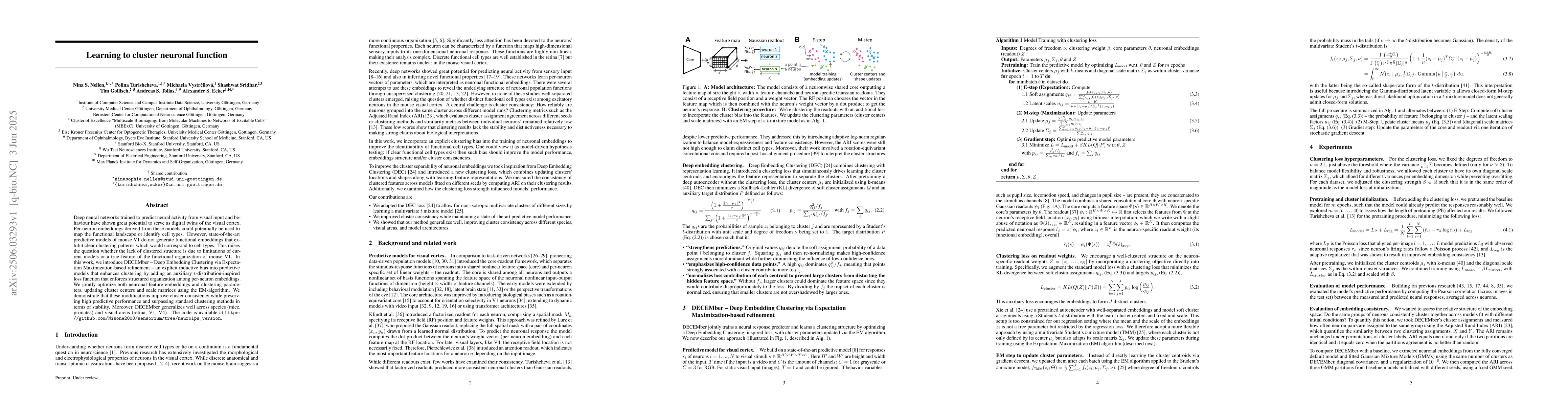 Thumbnail for Learning to cluster neuronal function
