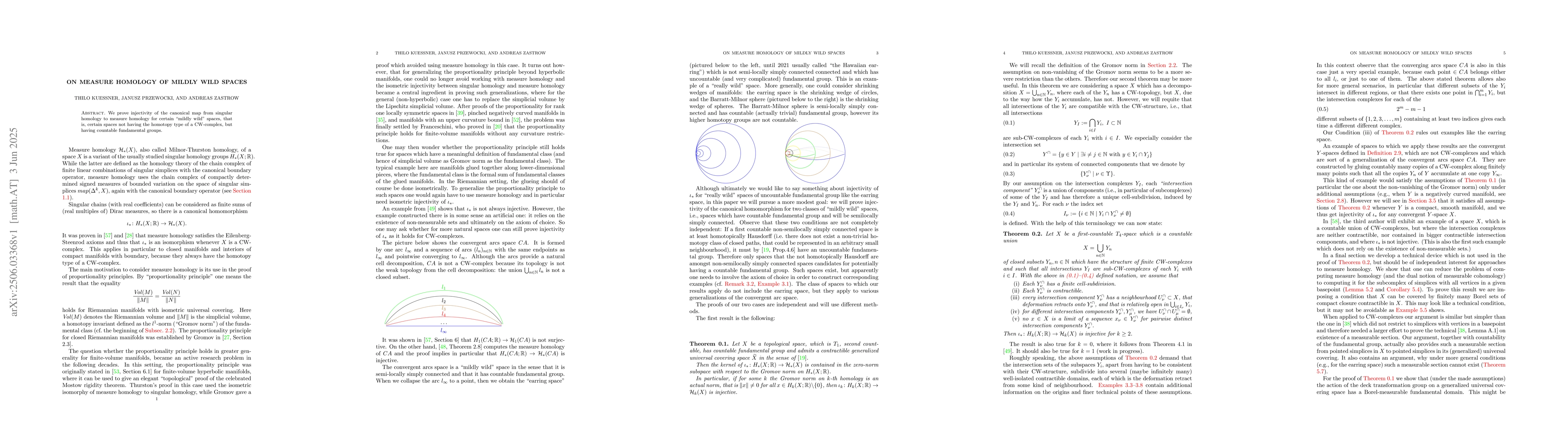 Thumbnail for On measure homology of mildly wild spaces