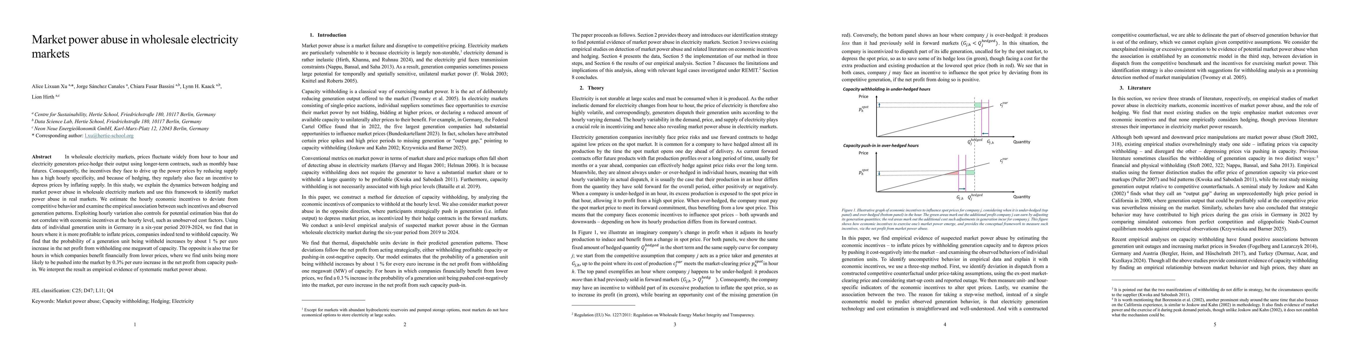 Thumbnail for Market power abuse in wholesale electricity markets