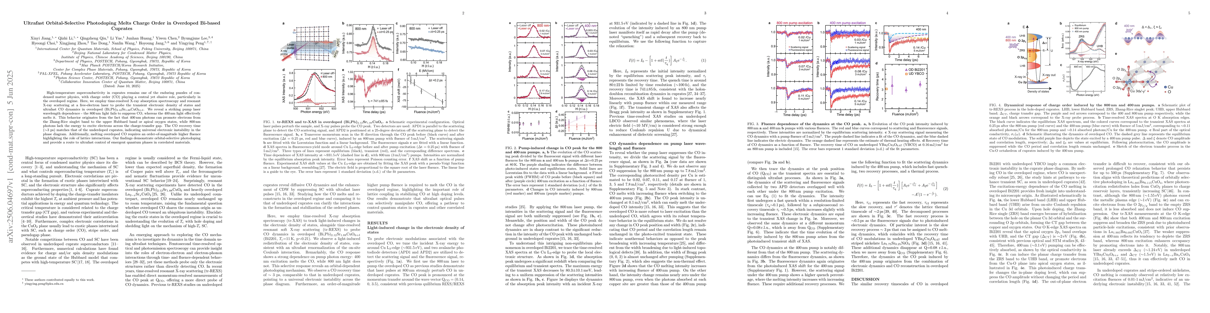 Thumbnail for Ultrafast Orbital-Selective Photodoping Melts Charge Order in Overdoped
  Bi-based Cuprates