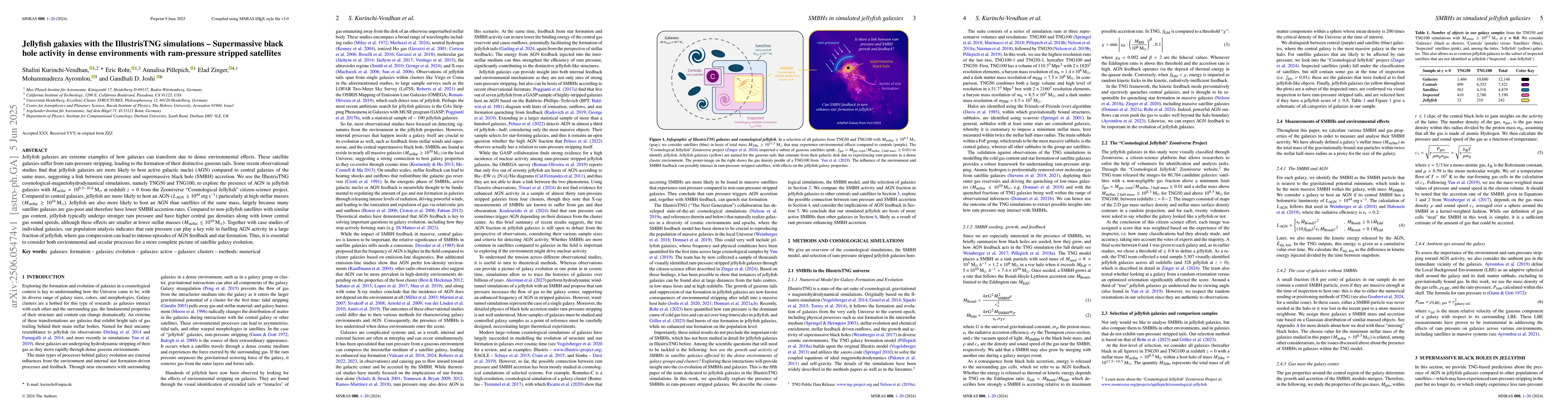 Thumbnail for Jellyfish galaxies with the IllustrisTNG simulations -- Supermassive
  black hole activity in dense environments with ram-pressure stripped
  satellites
