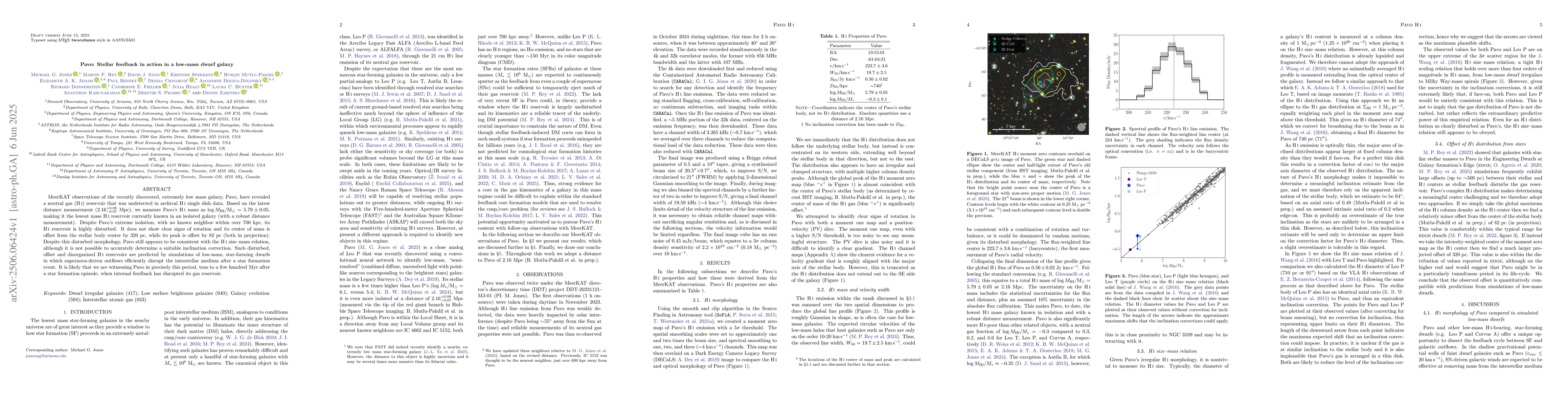 Thumbnail for Pavo: Stellar feedback in action in a low-mass dwarf galaxy