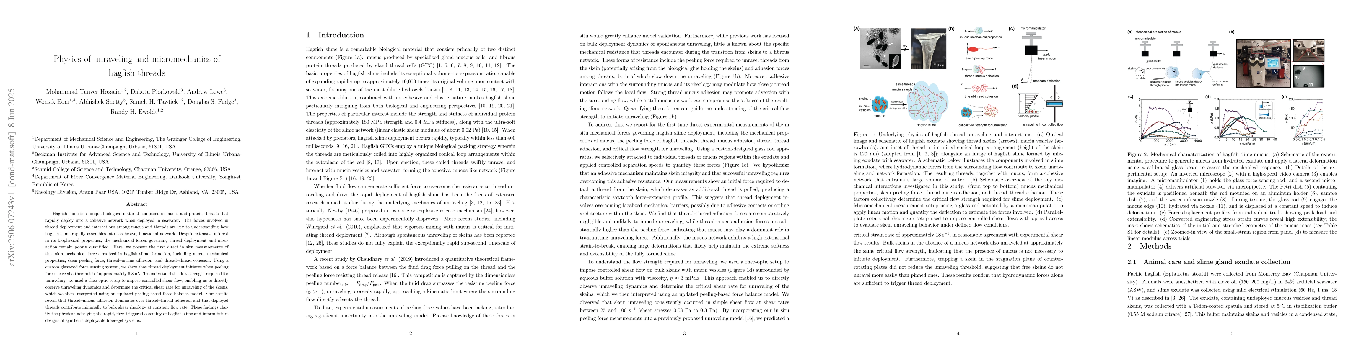 Thumbnail for Physics of unraveling and micromechanics of hagfish threads