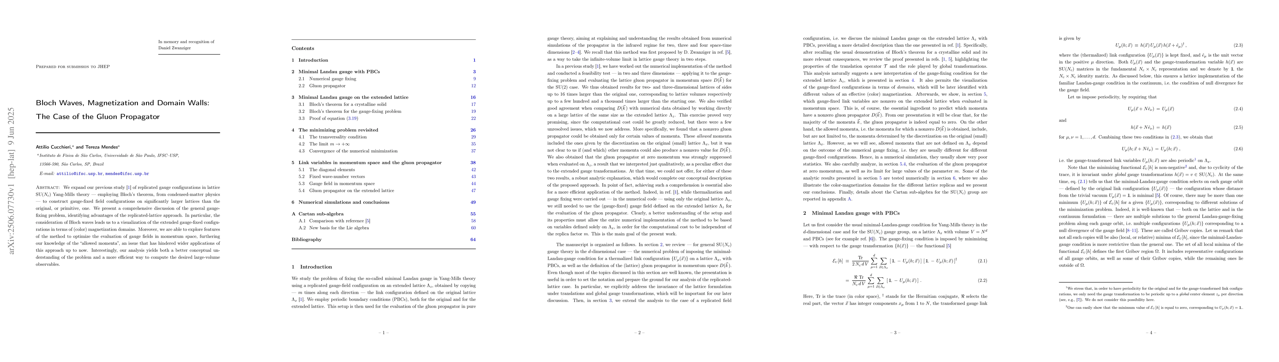 Thumbnail for Bloch Waves, Magnetization and Domain Walls: The Case of the Gluon
  Propagator
