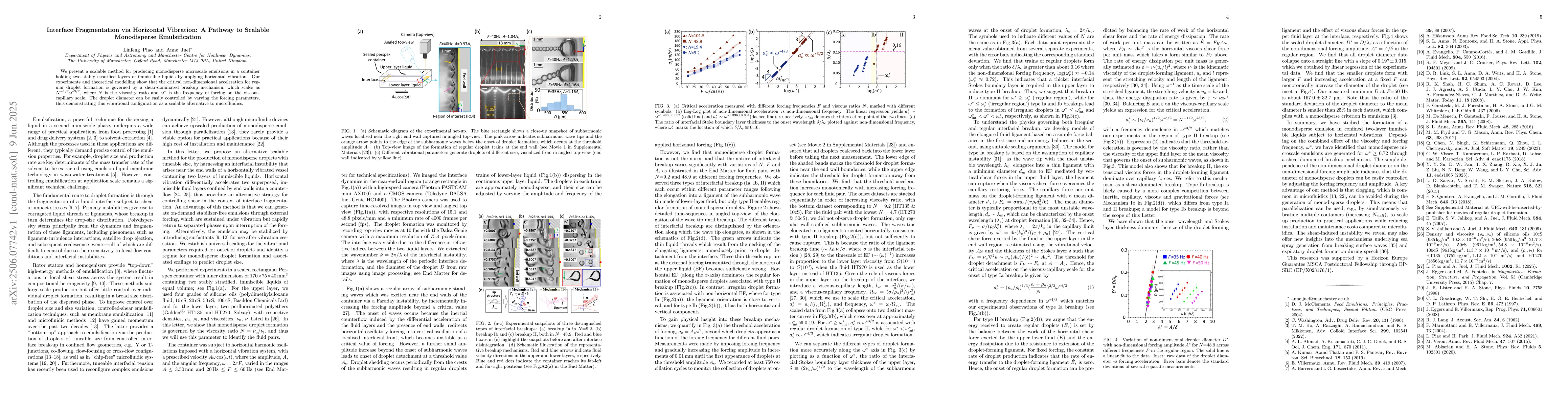 Thumbnail for Interface Fragmentation via Horizontal Vibration: A Pathway to Scalable
  Monodisperse Emulsification