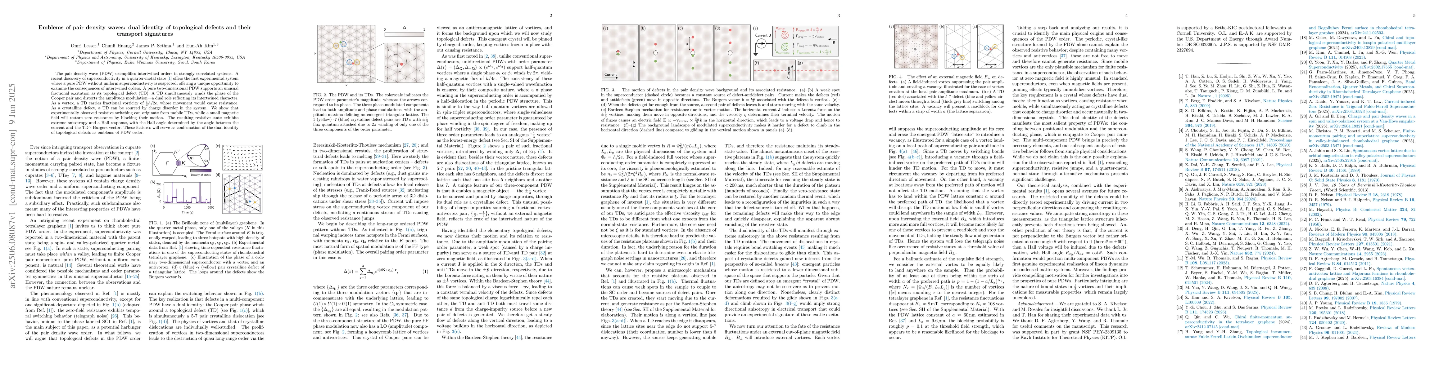 Thumbnail for Emblems of pair density waves: dual identity of topological defects and
  their transport signatures