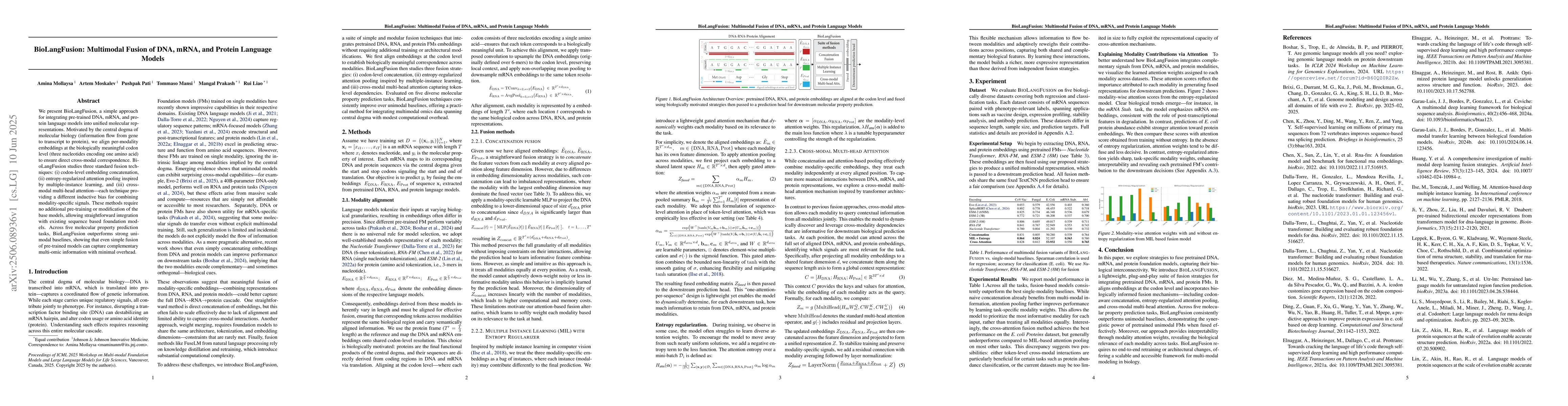Thumbnail for BioLangFusion: Multimodal Fusion of DNA, mRNA, and Protein Language
  Models