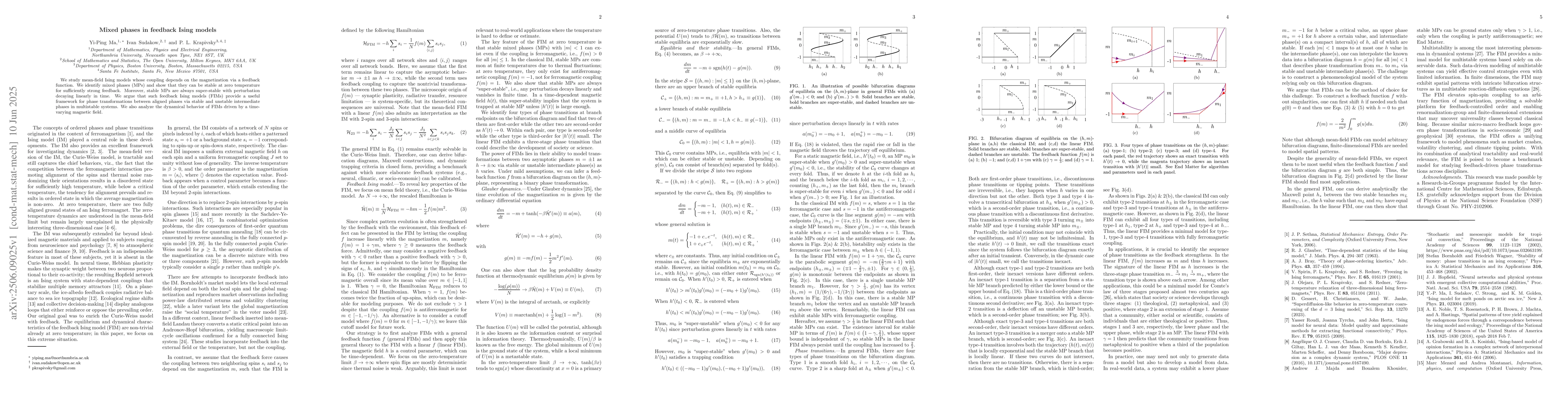 Thumbnail for Mixed phases in feedback Ising models