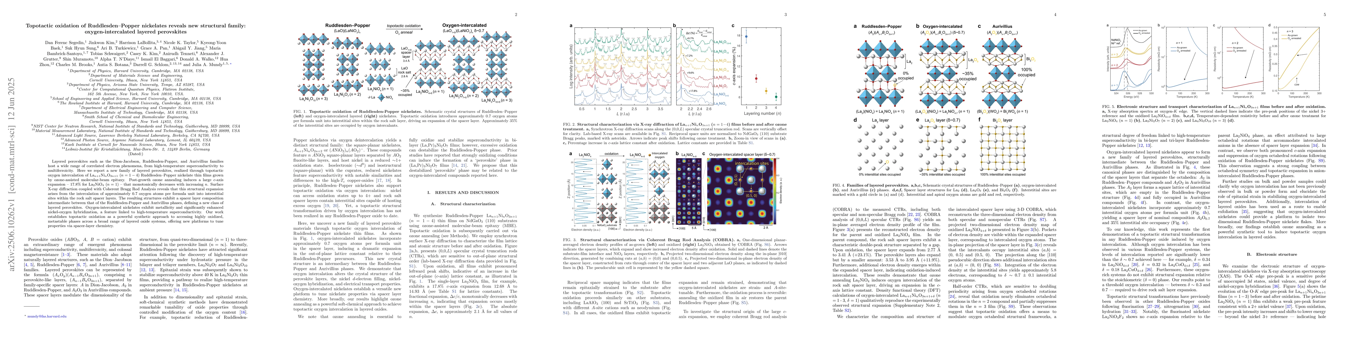 Thumbnail for Topotactic oxidation of Ruddlesden-Popper nickelates reveals new
  structural family: oxygen-intercalated layered perovskites