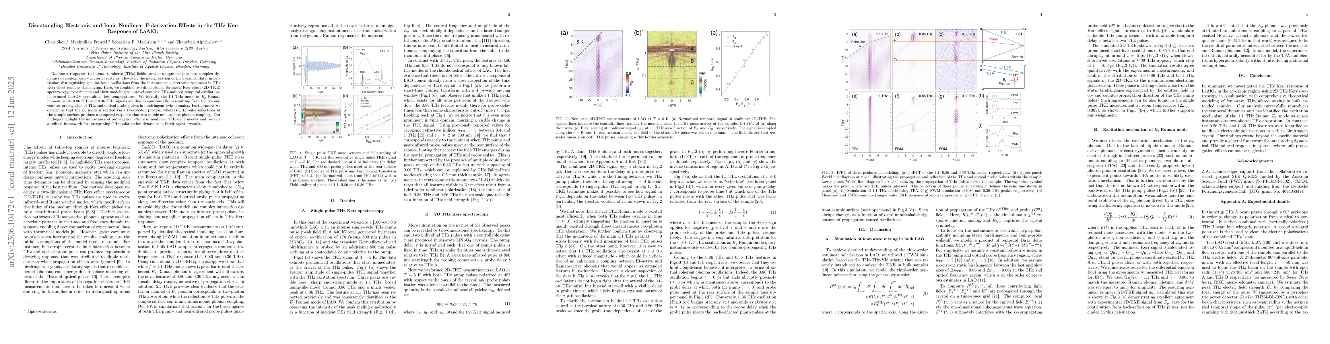 Thumbnail for Disentangling Electronic and Ionic Nonlinear Polarization Effects in the
  THz Kerr Response of LaAlO$_{3}$