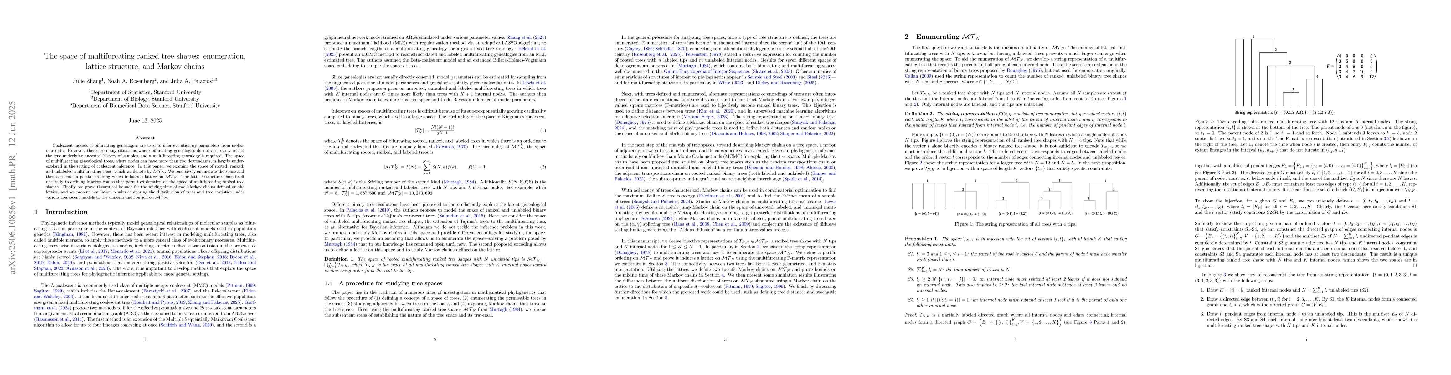 Thumbnail for The space of multifurcating ranked tree shapes: enumeration, lattice
  structure, and Markov chains