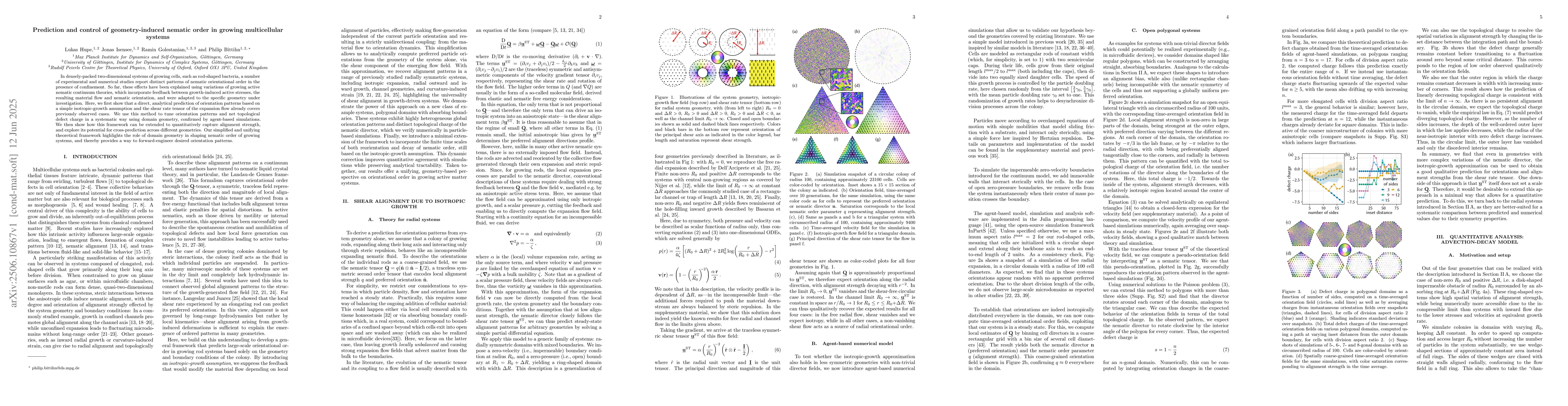 Thumbnail for Prediction and control of geometry-induced nematic order in growing
  multicellular systems