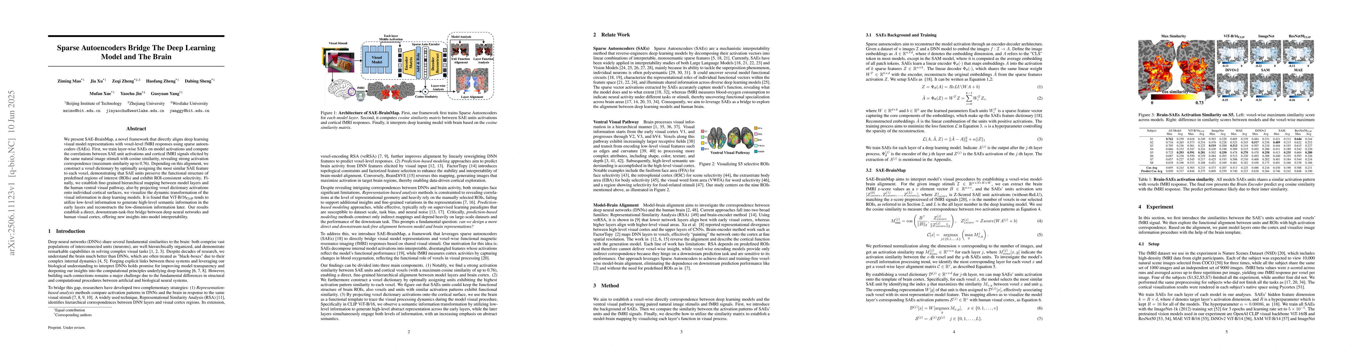 Thumbnail for Sparse Autoencoders Bridge The Deep Learning Model and The Brain