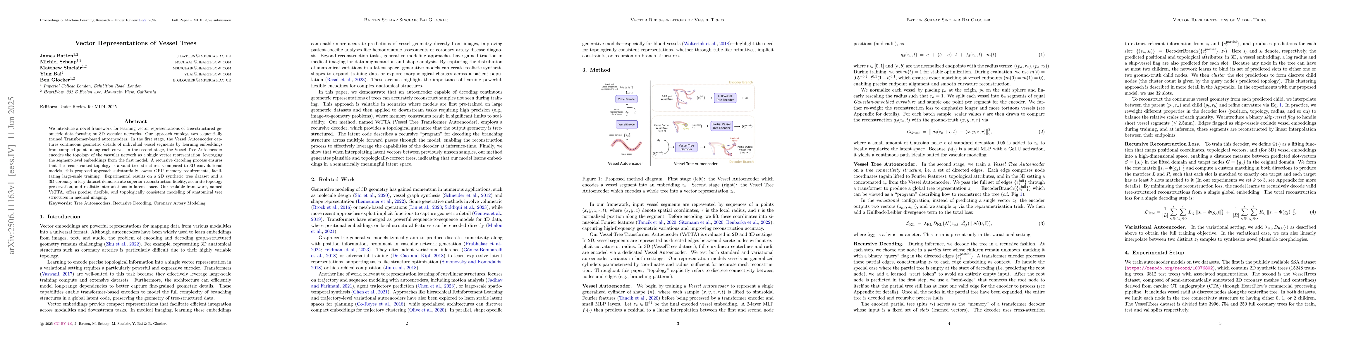 Thumbnail for Vector Representations of Vessel Trees