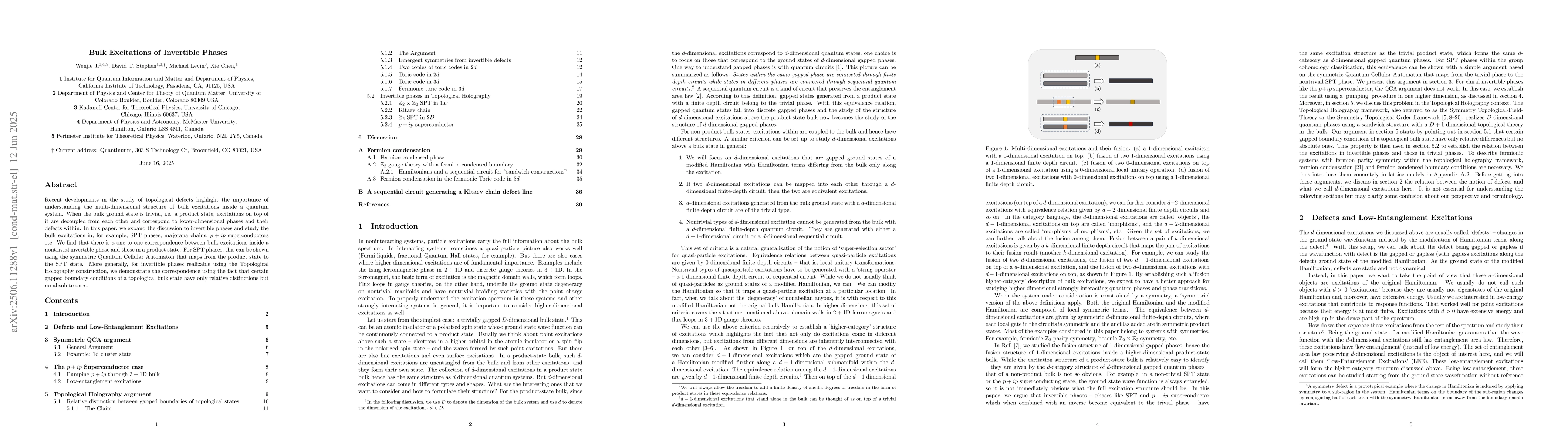 Thumbnail for Bulk Excitations of Invertible Phases