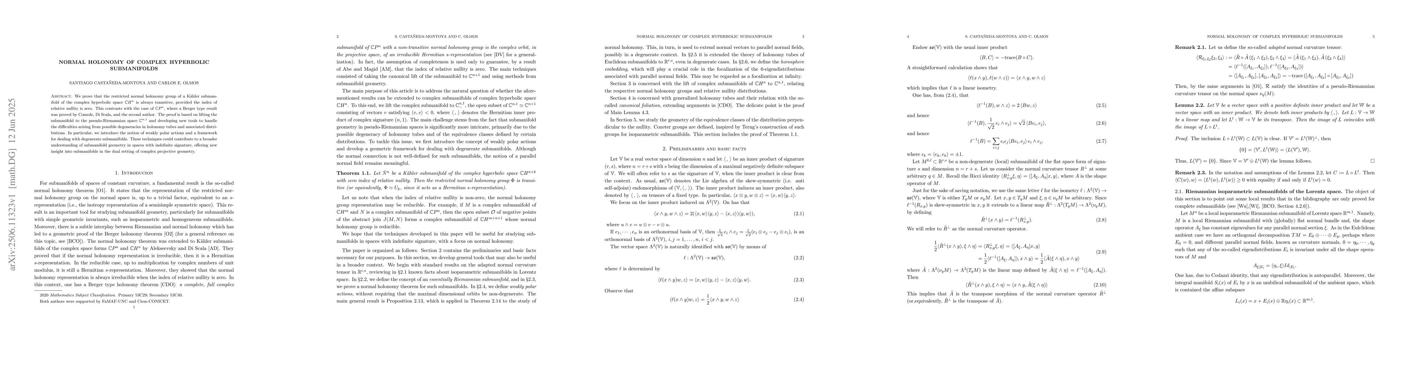Thumbnail for Normal Holonomy of Complex Hyperbolic Submanifolds