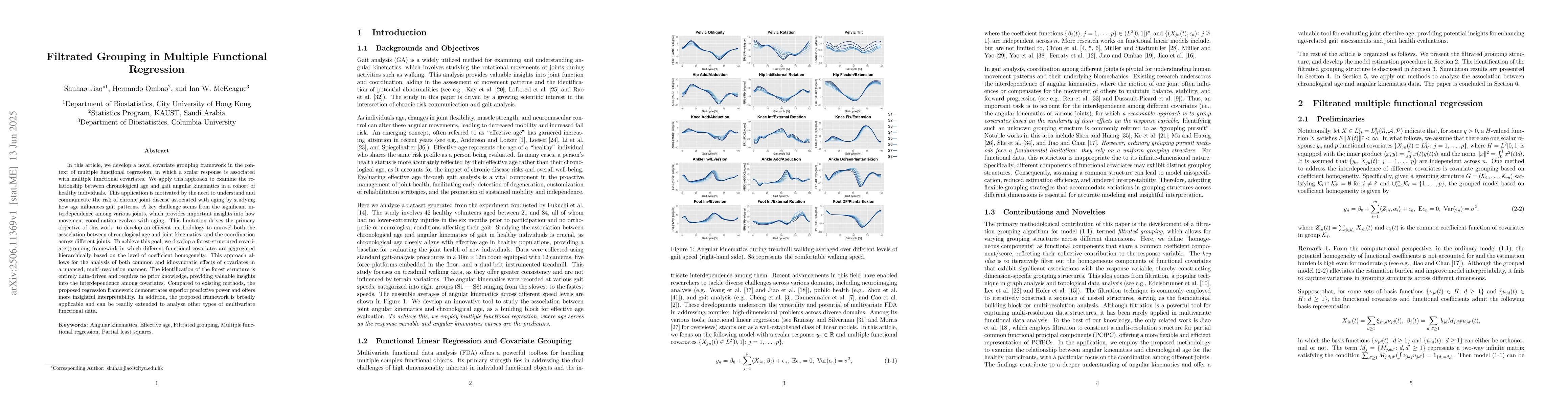 Thumbnail for Filtrated Grouping in Multiple Functional Regression