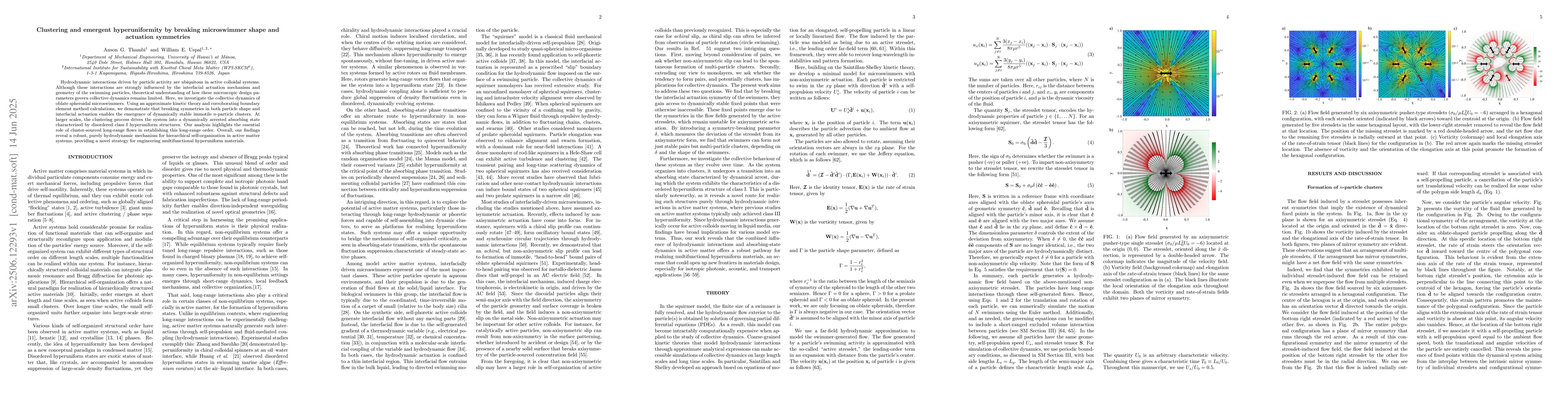 Thumbnail for Clustering and emergent hyperuniformity by breaking microswimmer shape
  and actuation symmetries