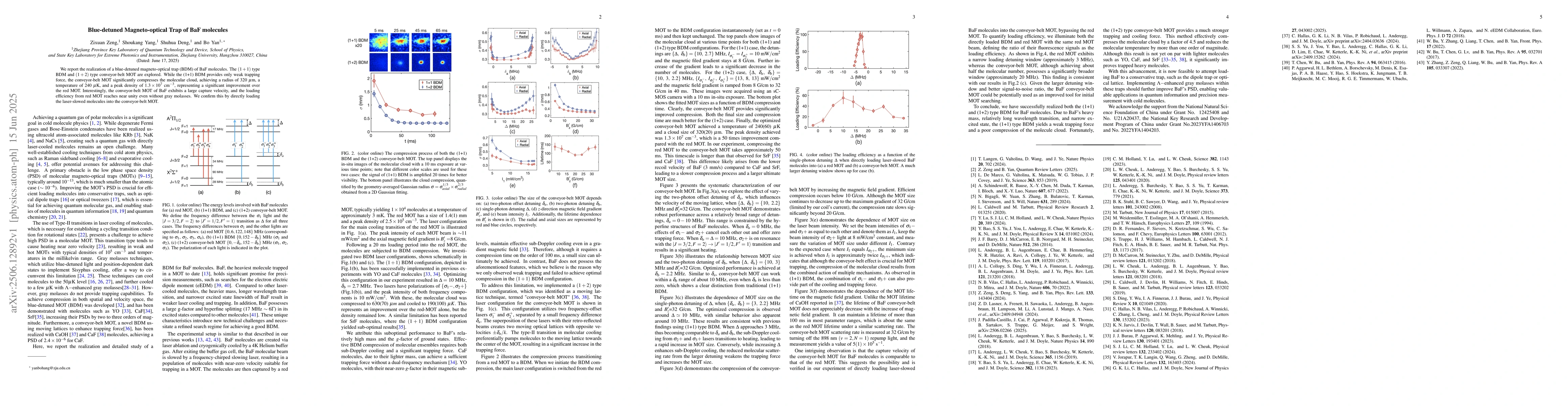 Thumbnail for Blue-detuned Magneto-optical Trap of BaF molecules