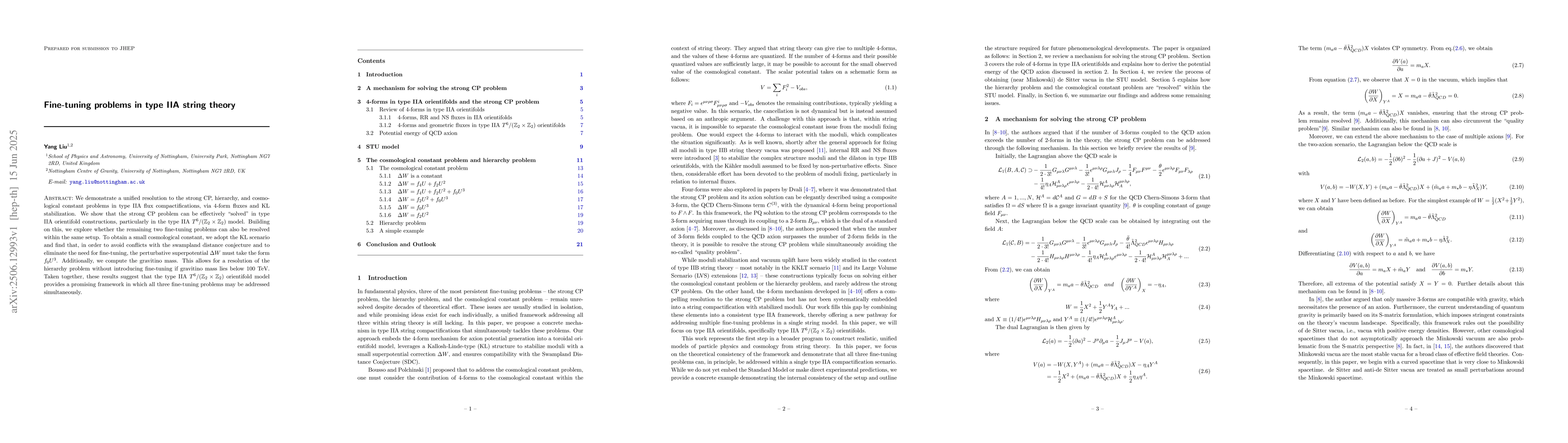 Thumbnail for Fine-tuning problems in type IIA string theory