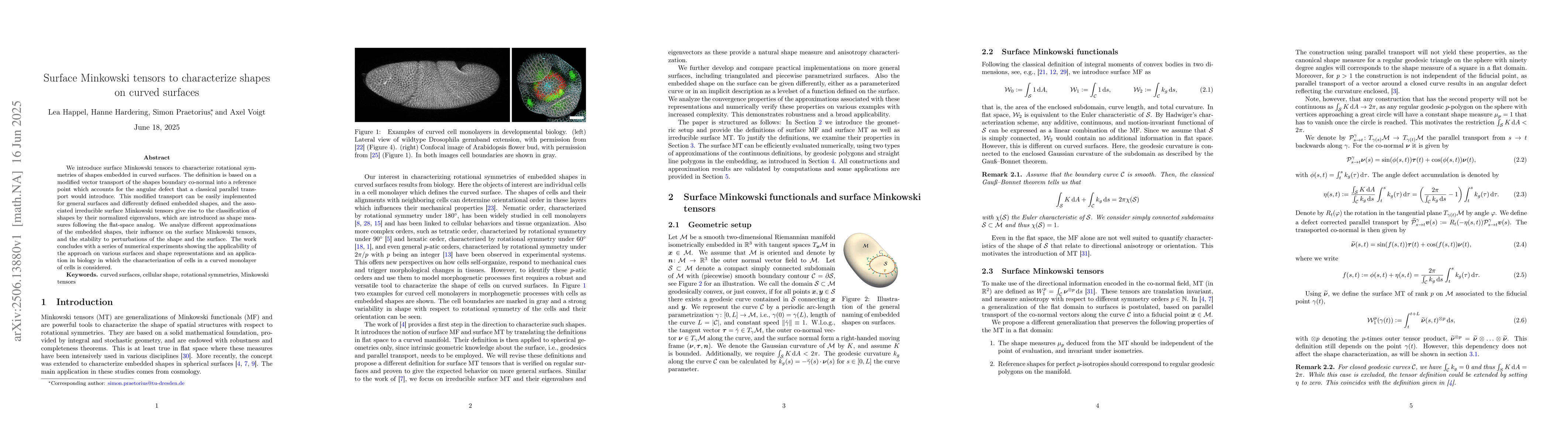 Thumbnail for Surface Minkowski tensors to characterize shapes on curved surfaces