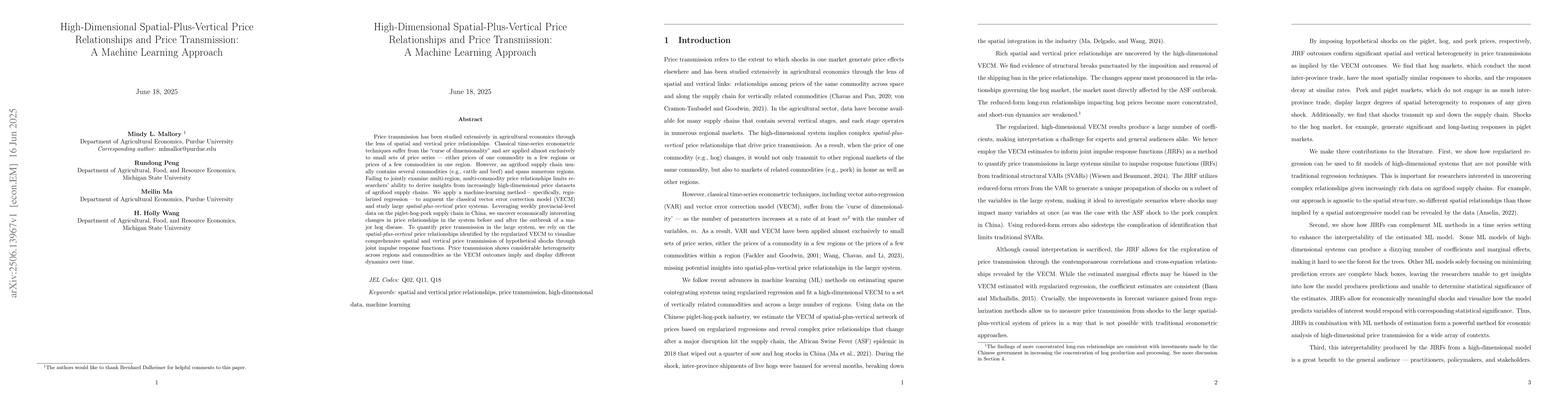 Thumbnail for High-Dimensional Spatial-Plus-Vertical Price Relationships and Price
  Transmission: A Machine Learning Approach