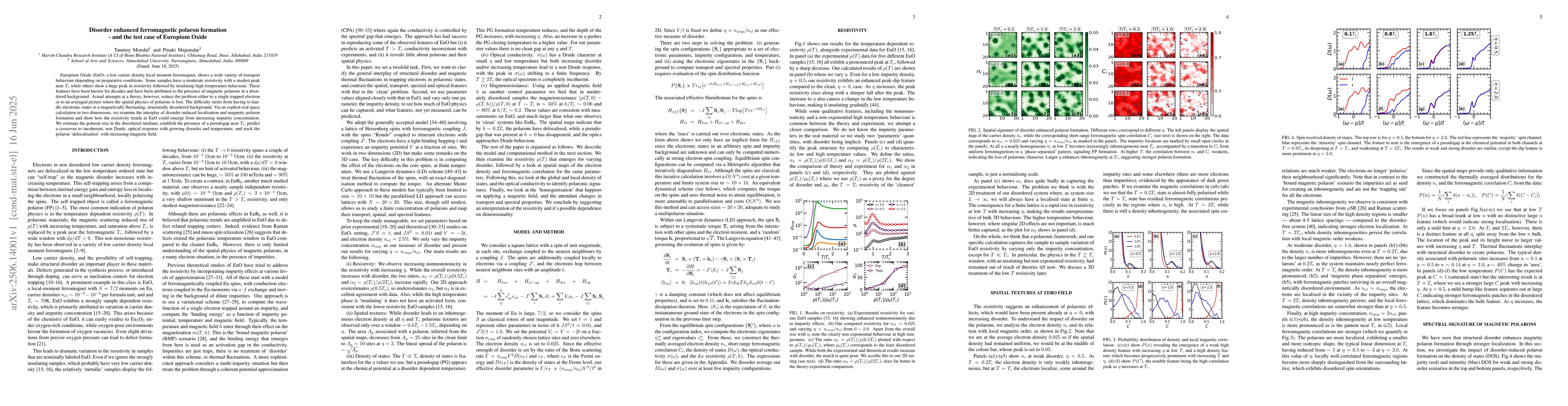 Thumbnail for Disorder enhanced ferromagnetic polaron formation -- and the test case
  of Europium Oxide