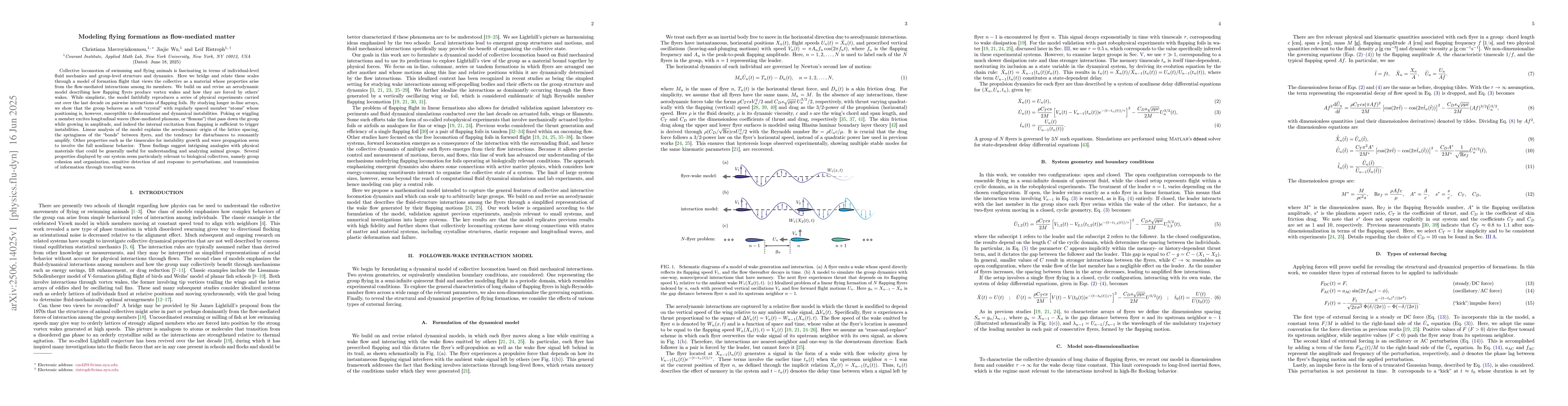 Thumbnail for Modeling flying formations as flow-mediated matter