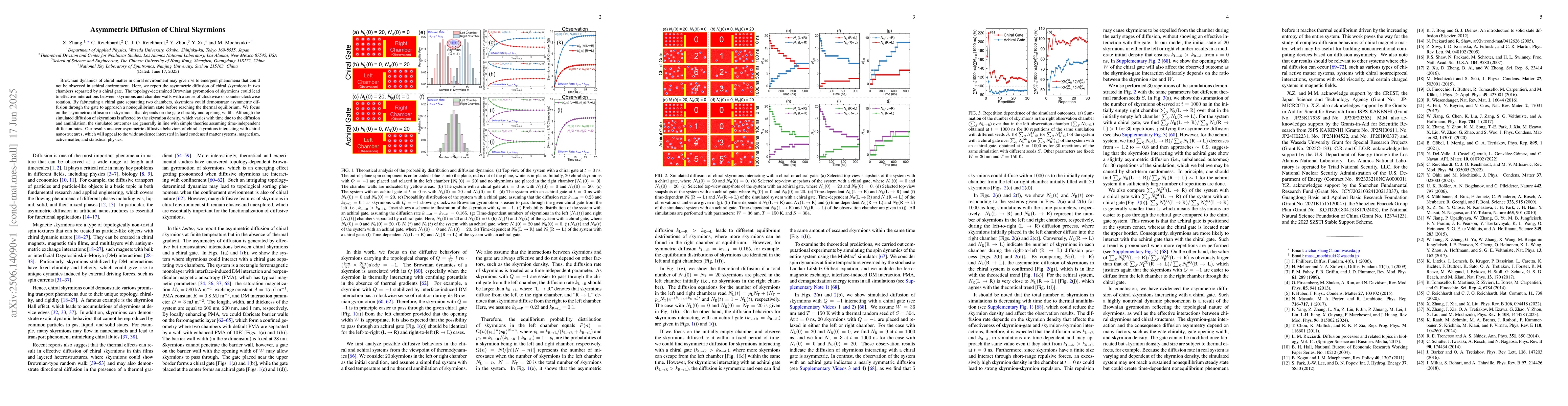 Thumbnail for Asymmetric Diffusion of Chiral Skyrmions