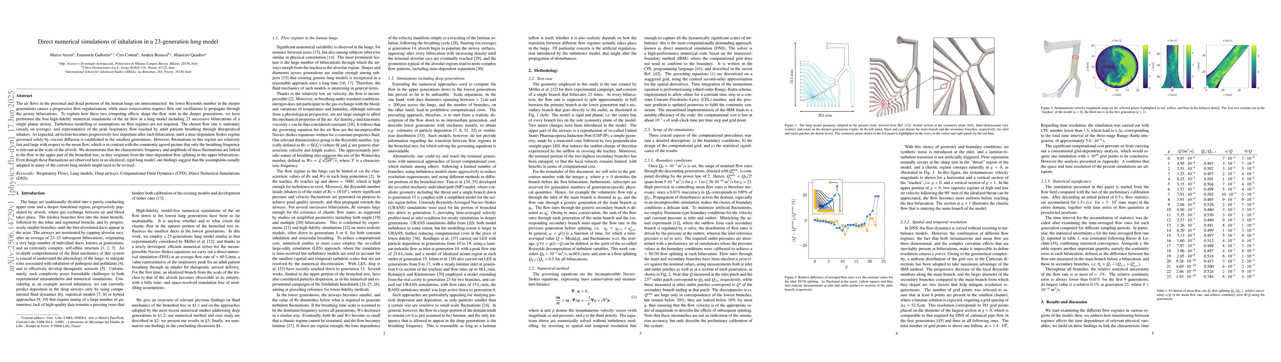 Thumbnail for Direct numerical simulations of inhalation in a 23-generation lung model