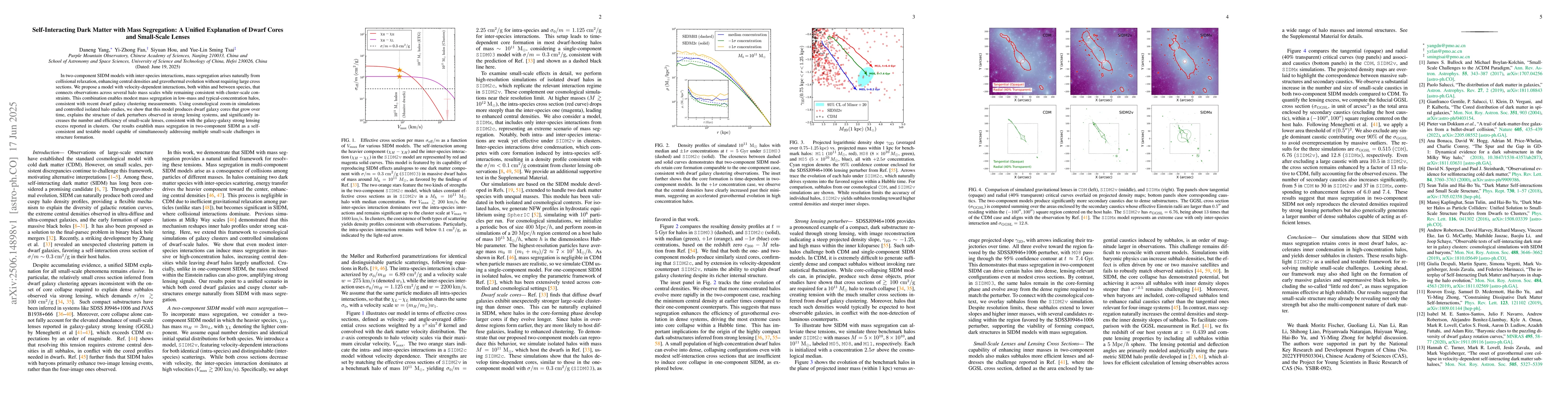 Thumbnail for Self-Interacting Dark Matter with Mass Segregation: A Unified
  Explanation of Dwarf Cores and Small-Scale Lenses