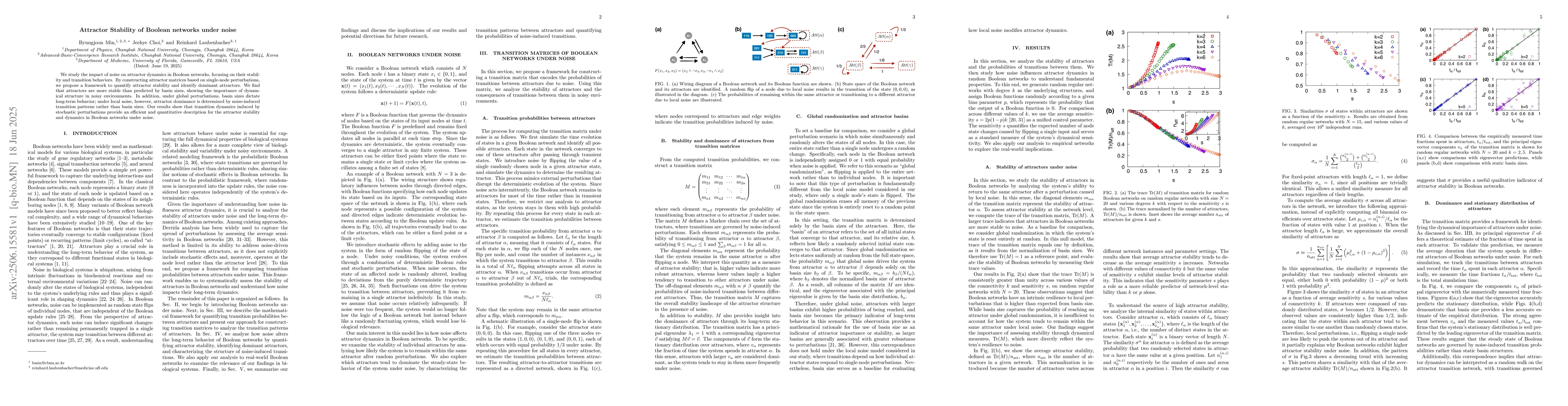 Thumbnail for Attractor Stability of Boolean networks under noise